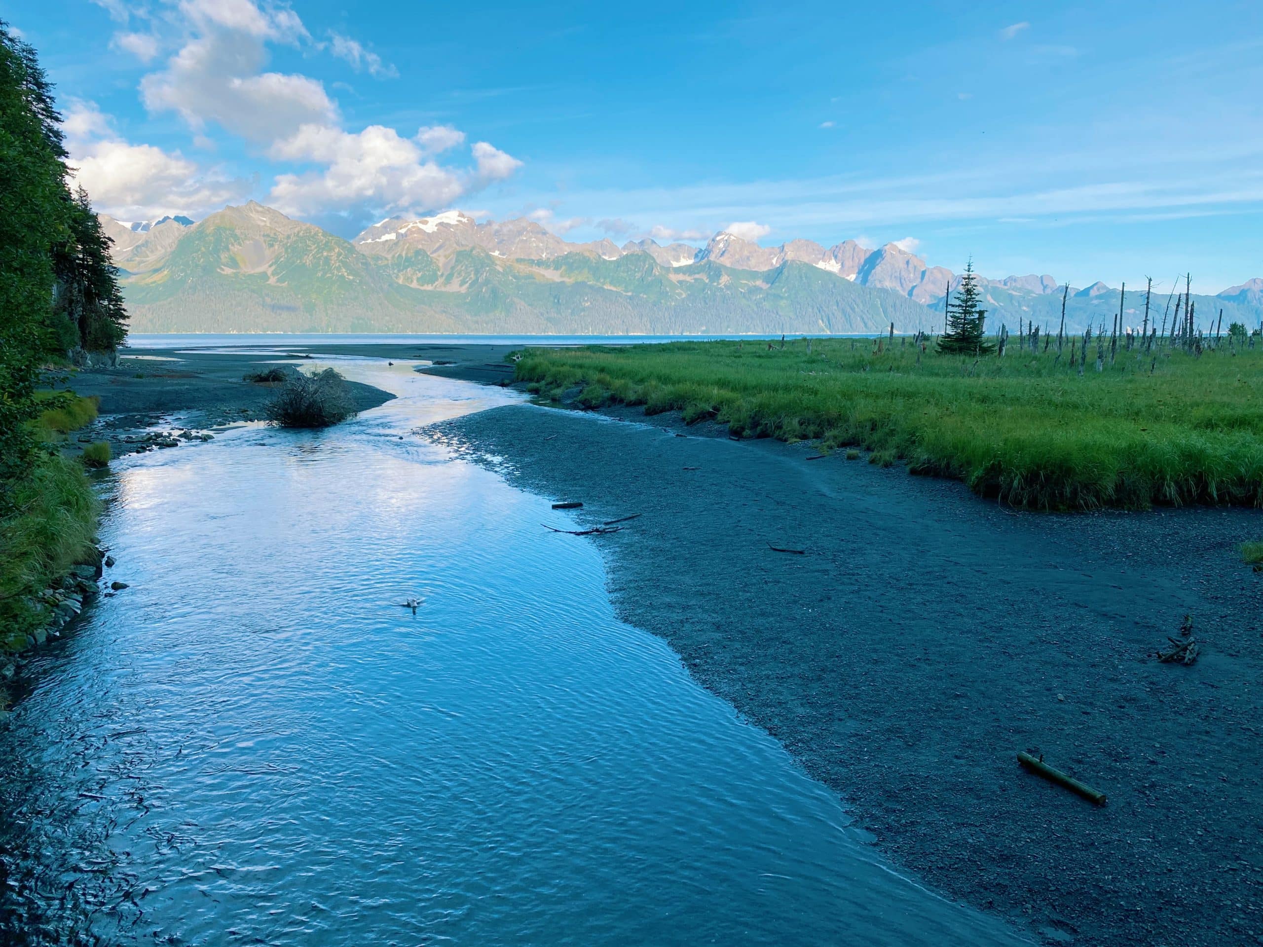 Of The Best Hiking Trails Near Seward Alaska