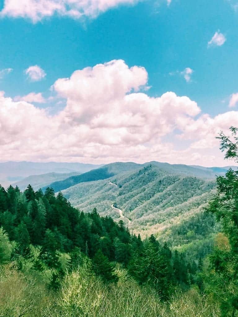 A Tiny Taste of Great Smoky Mountains National Park in North Carolina