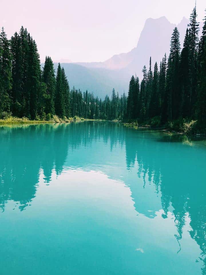 Stunning blue lake surrounded by trees and mountains within Yoho National Park.