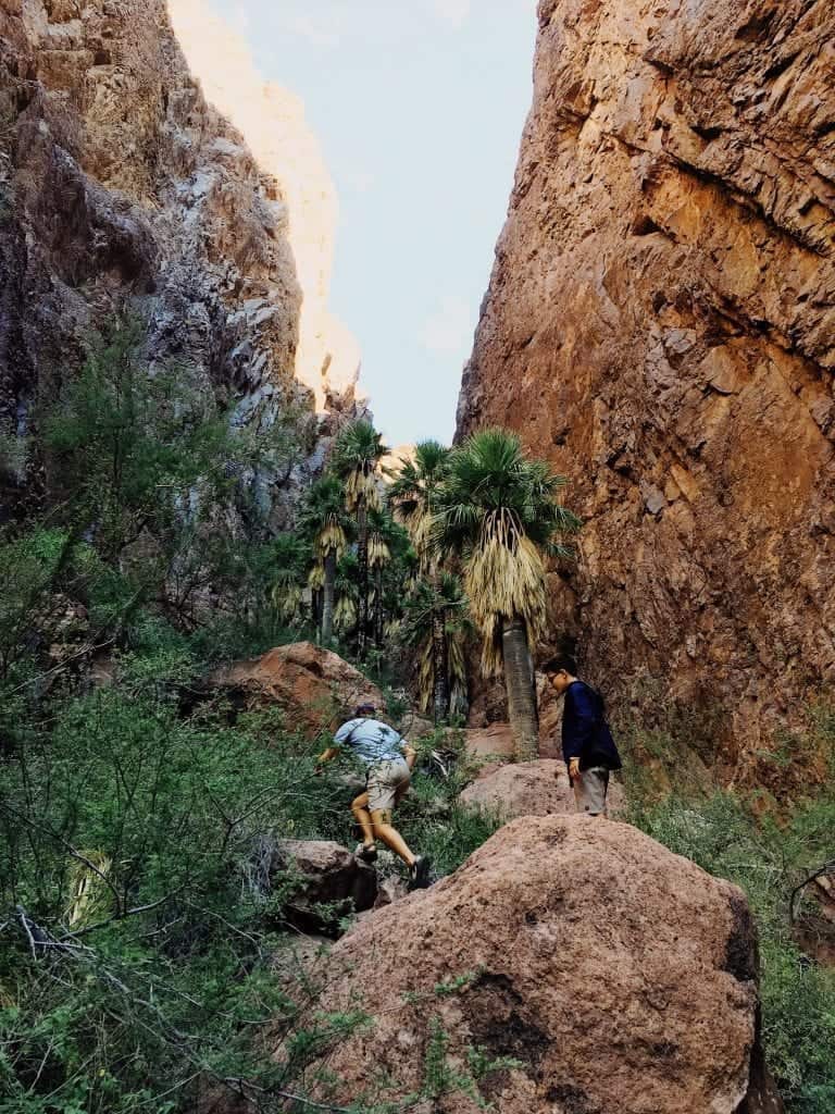 Hiking in Quartzsite Arizona