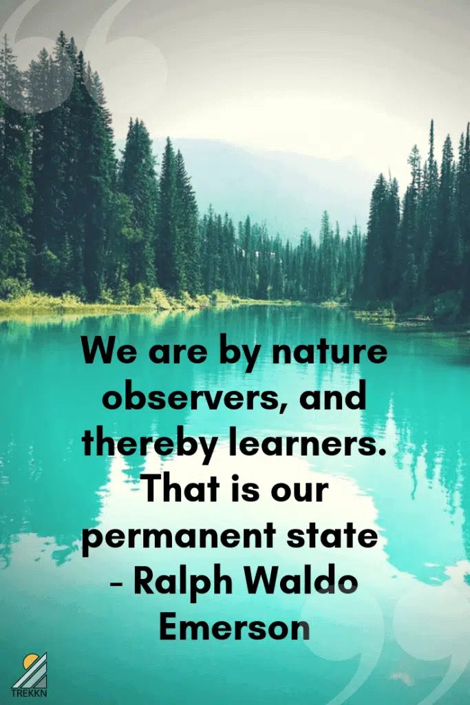 17 Of The Best Outdoor Quotes To Share With Your Nature Loving Friends
