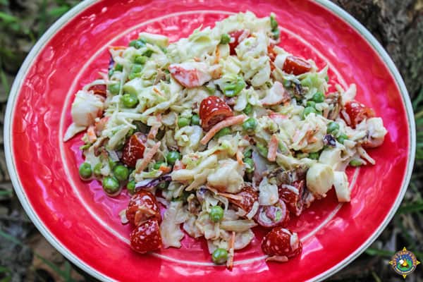 Easy Crab Salad for Camping