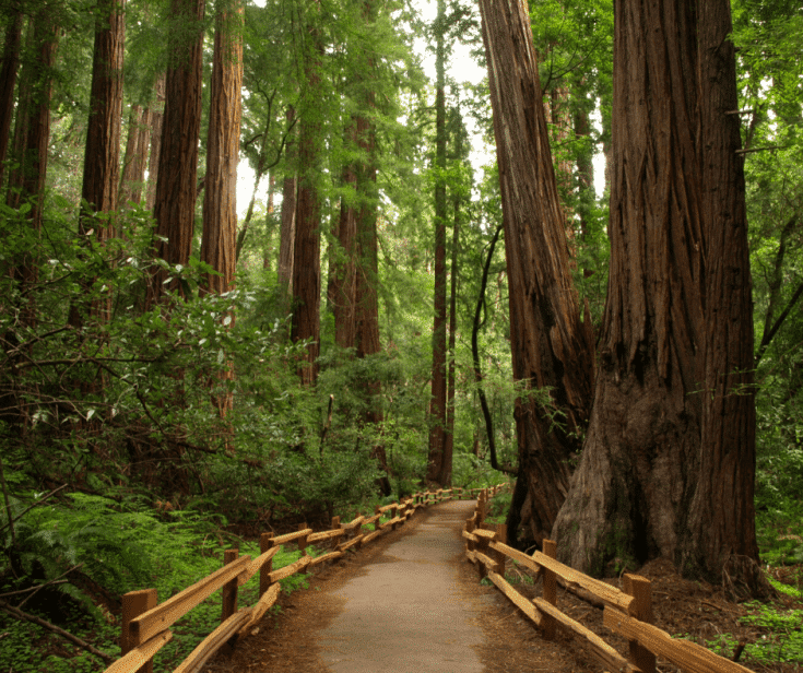 7 Natural Wonders of the Western U.S. You Must See In Your RV