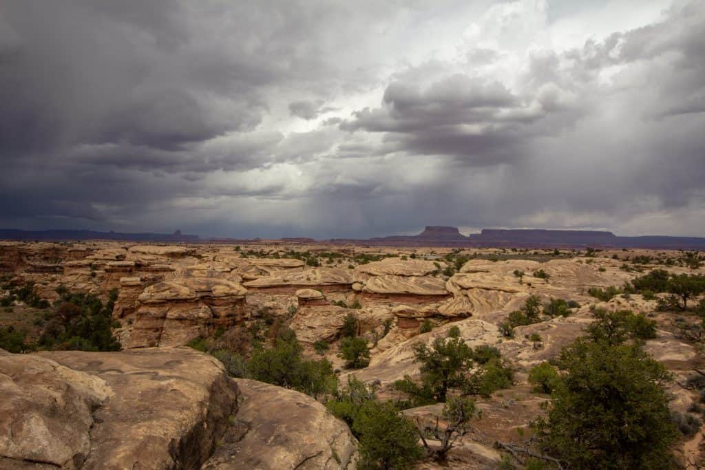 View From Pothole Point in Canyonlands National Park