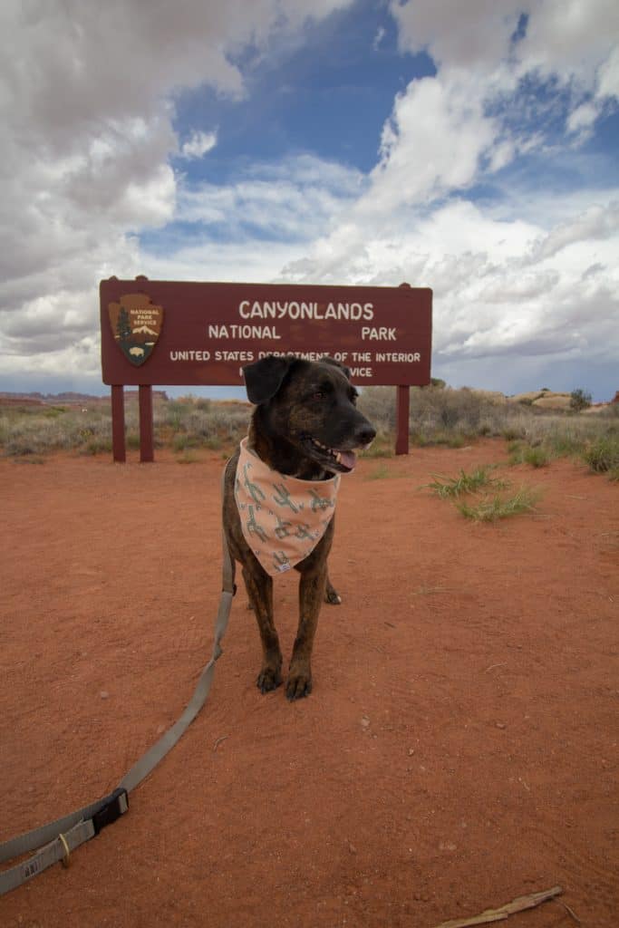 Pets and Canyonlands National Park