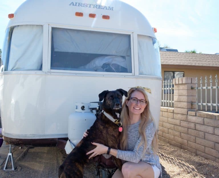 RVing with Dogs: A Comprehensive Guide for Your Travels