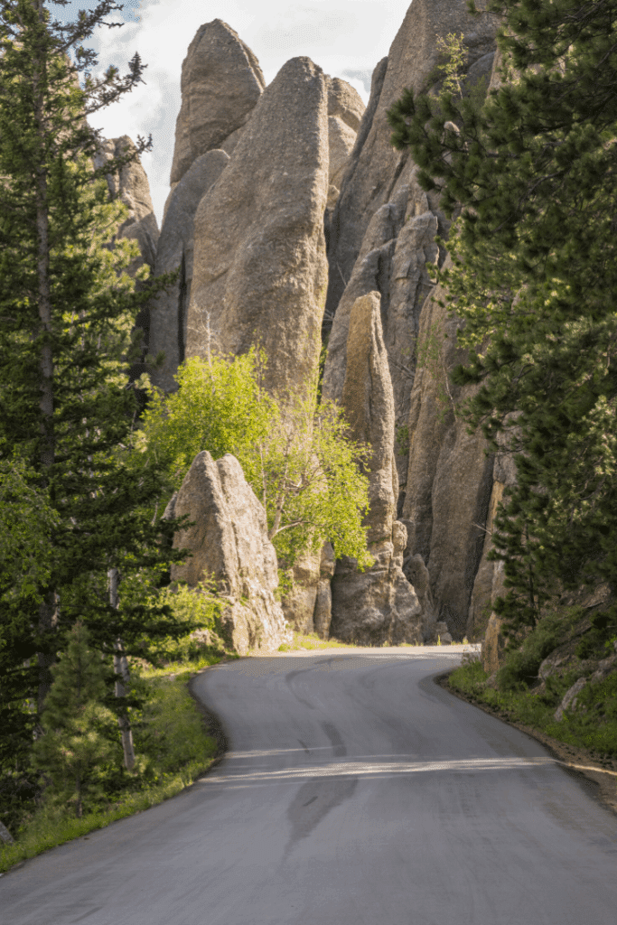 What to See and Do On Your RV Trip Through the Black Hills of South Dakota