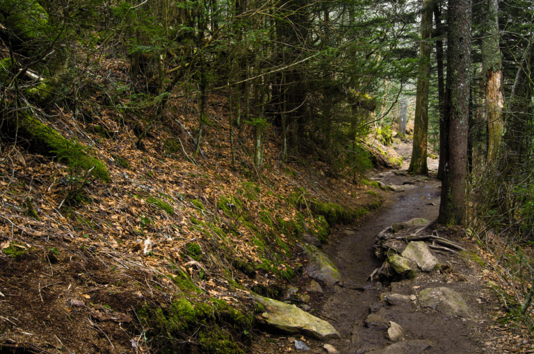 Great Smoky Mountains National Park Ultimate RVers Guide