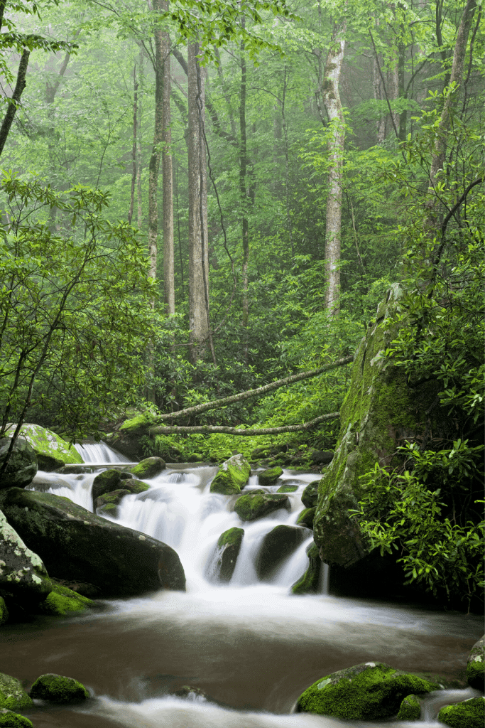 Great Smoky Mountains National Park: Ultimate RVers Guide