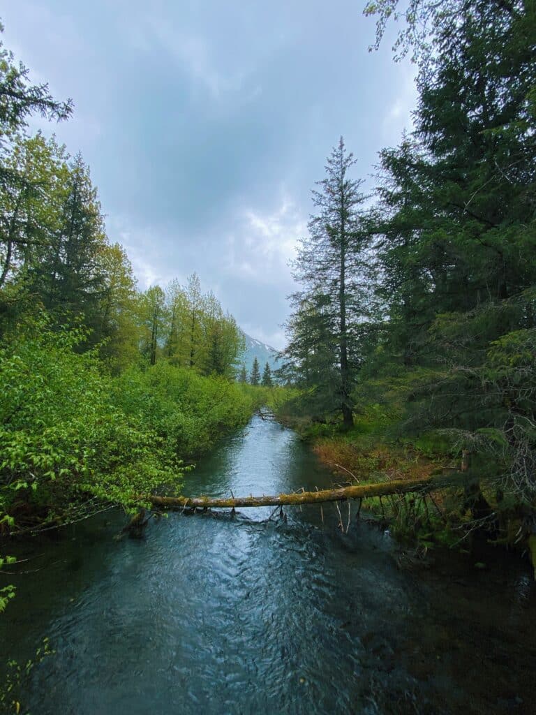 Seward Highway: Your Guide to a Perfect Scenic Drive