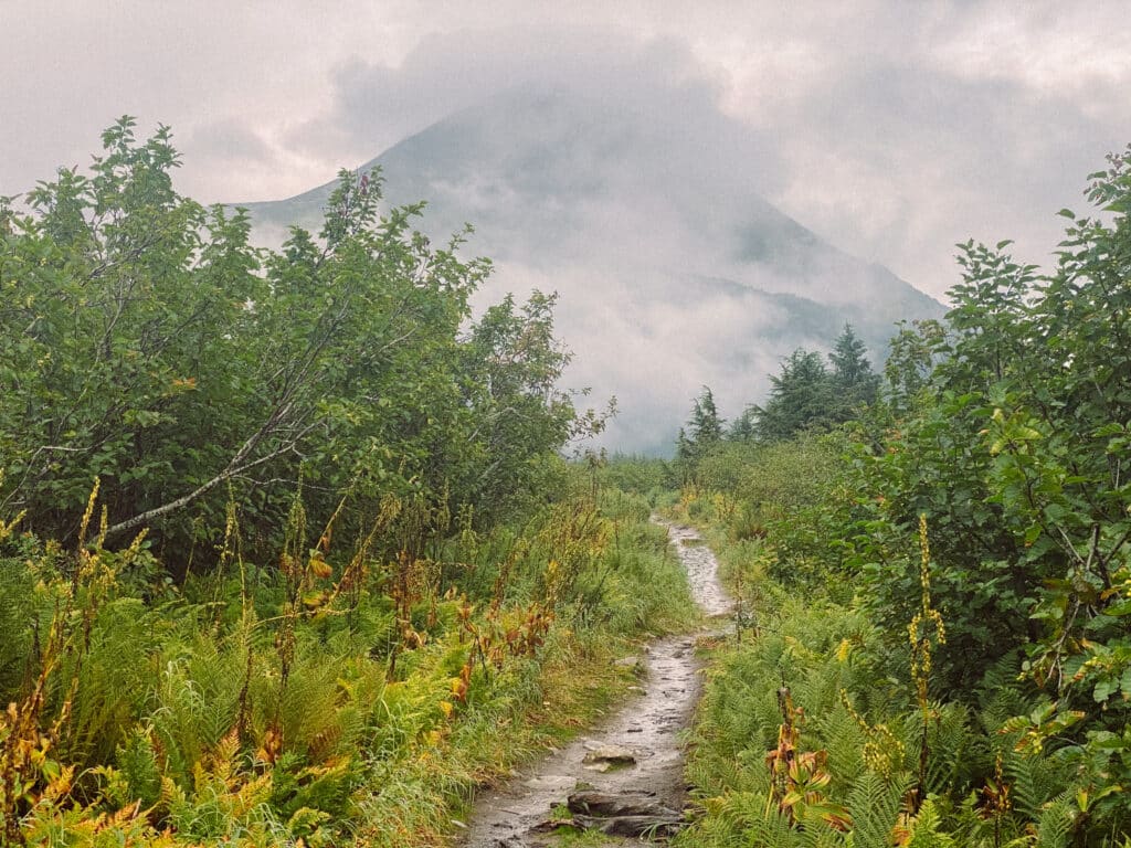 basic hiking etiquette guidelines