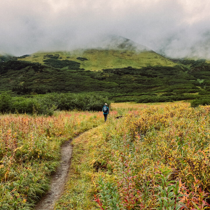 Take a Hike on the Carter Lake Trail Near Seward, Alaska
