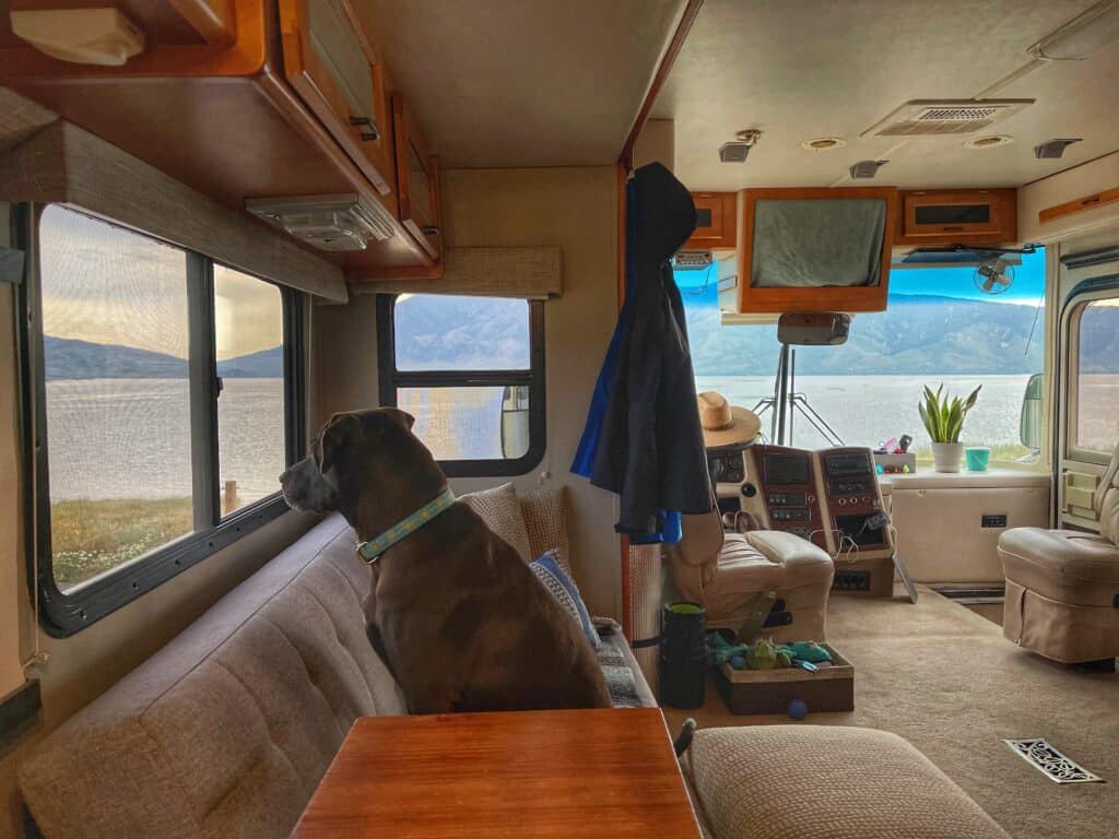 Full time RVing with a dog