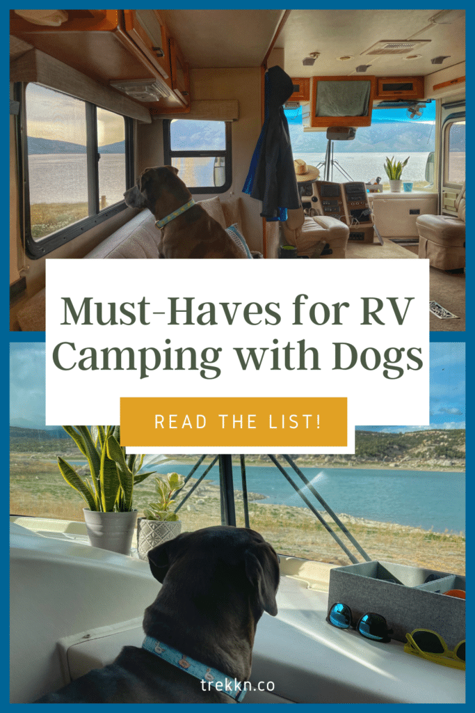 RV camping with dogs