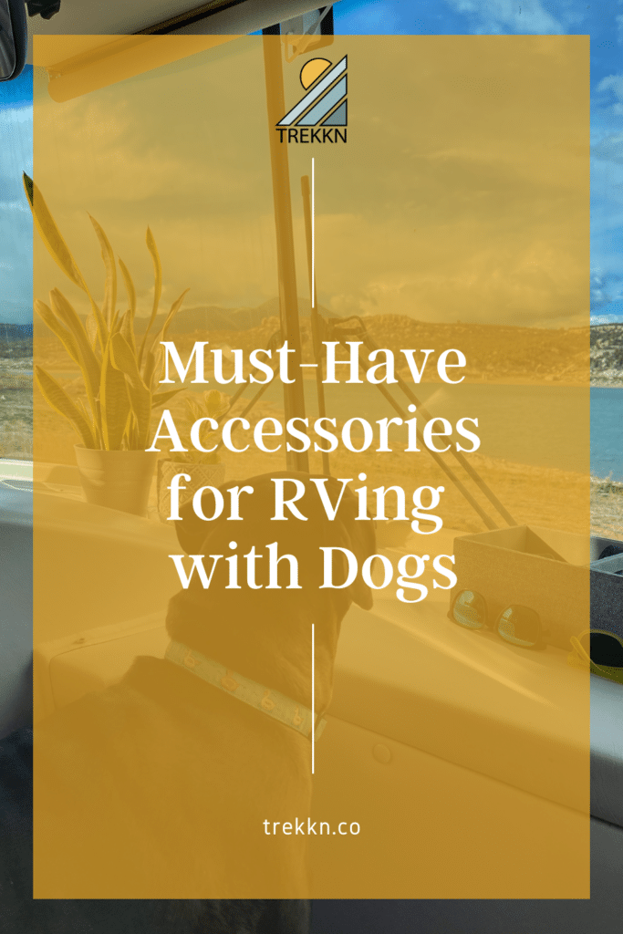 what to bring for your dog on an RV trip