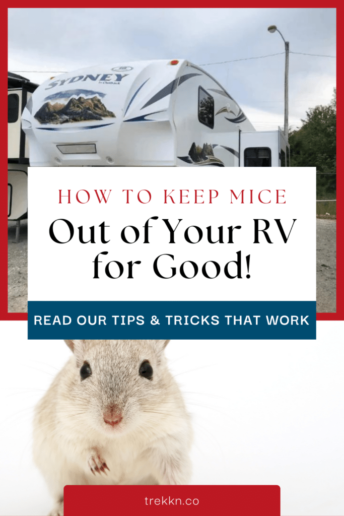 how to get rid of mice in your RV or camper