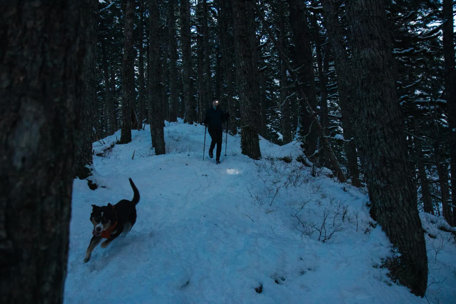 Lace Up Explore The Essential Gear For Winter Hiking