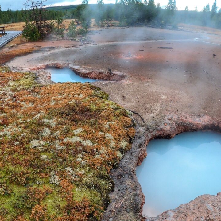 RVers Guide to Yellowstone National Park