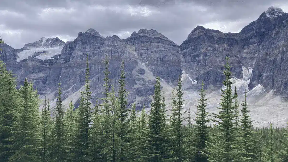 Evergreen trees in front of Valley of 10 Peaks, one of the reasons Mount Bourgeau is best day hike in Banff