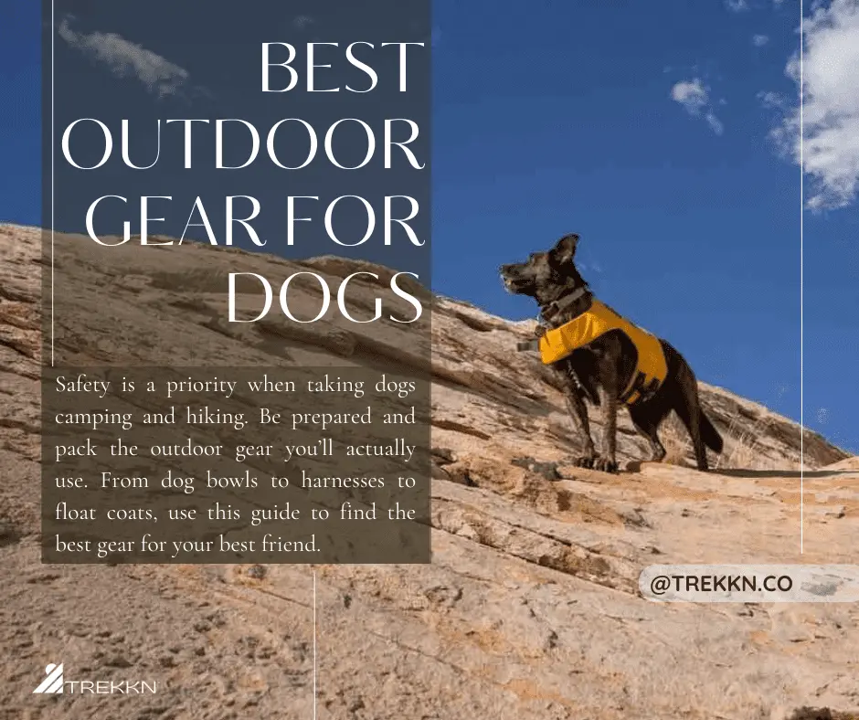 Dog wearing harness standing on side of mountain with text 'best outdoor gear for dogs'
