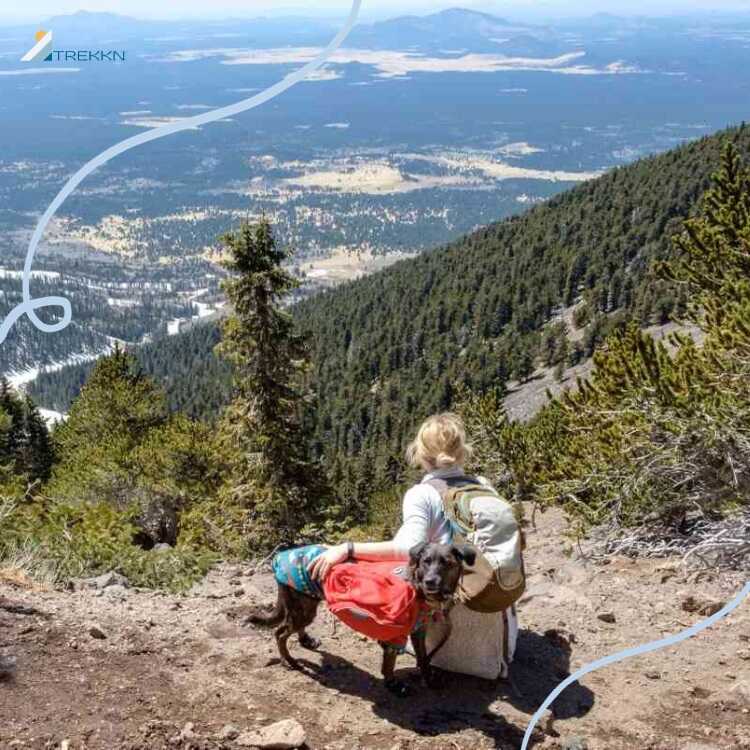 Woman and dog resting at top of mountain after long hike
